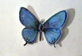 LONG TAIL BLUE BUTTERFLY