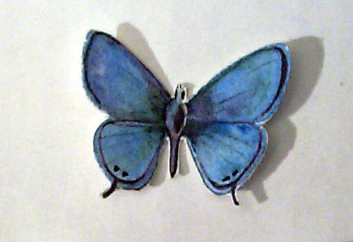 LONG TAIL BLUE BUTTERFLY