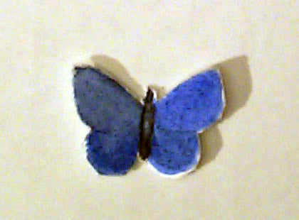 MINIATURE BLUE BUTTERFLY & DRAGONFLY.