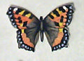 TORTOISESHELL BUTTERFLY SMALL.