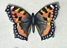 TORTOISESHELL BUTTERFLY SMALL.