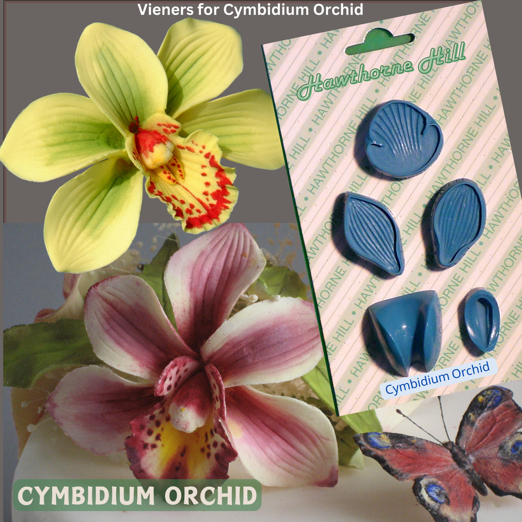CYMBIDIUM ORCHID SET