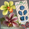 CYMBIDIUM ORCHID SET