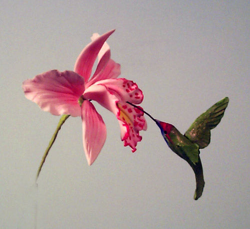 HUMMING BIRD