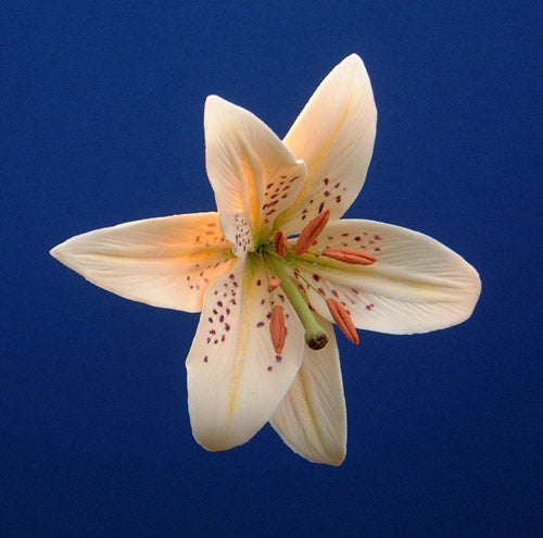 LILY FLOWER SET