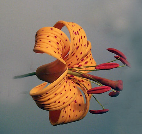 TIGER LILY FLOWER SET