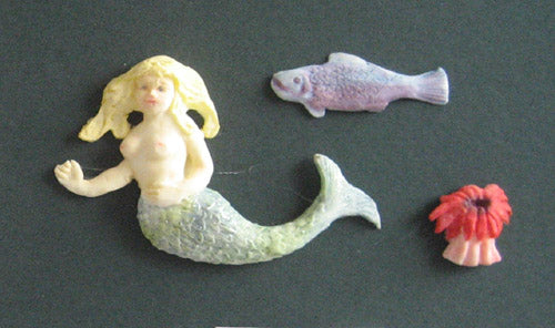 MERMAID ANEMONE & FISH