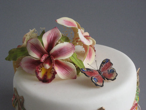 CYMBIDIUM ORCHID SET