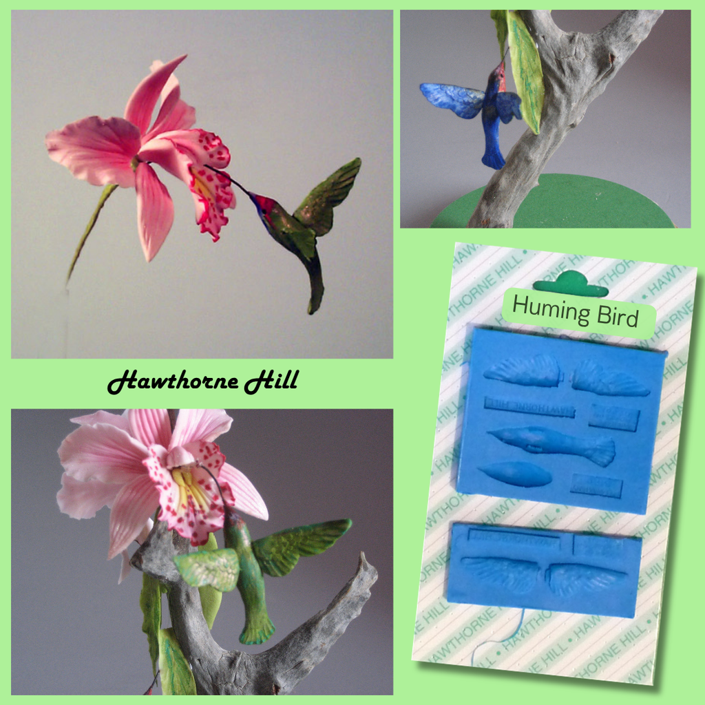 HUMMING BIRD