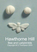 BEE & LADYBIRDS