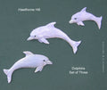 DOLPHINS