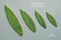 LILY LEAVES