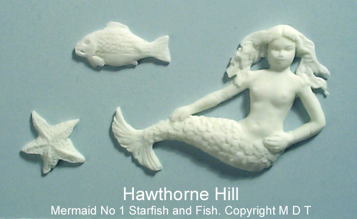 MERMAID STARFISH & FISH.