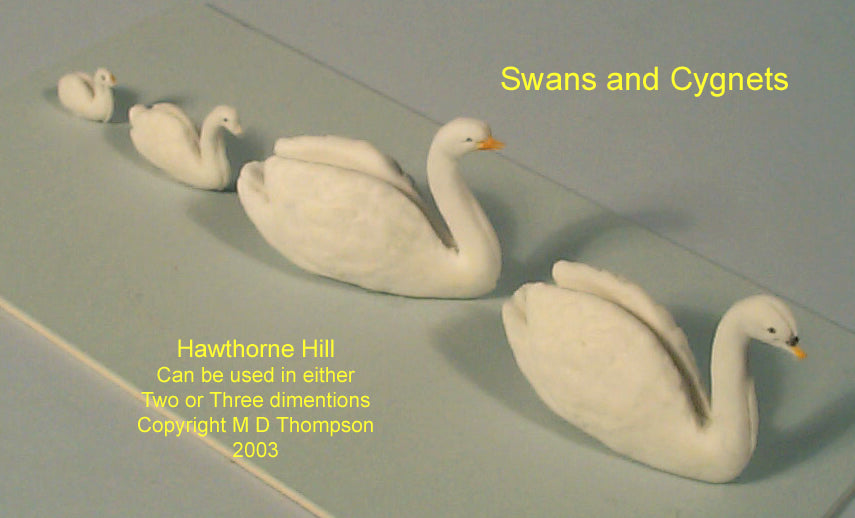 SWANS & CYGNETS